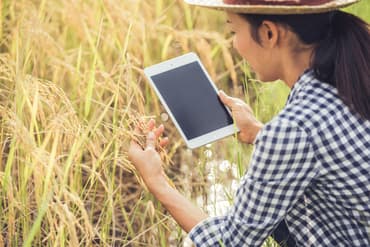 A Guide to Crop Rotation with modern implications and Its Benefits