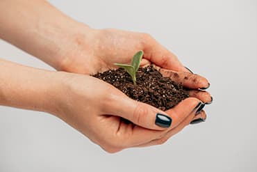The Importance of Soil Testing in Sustainable Agriculture
