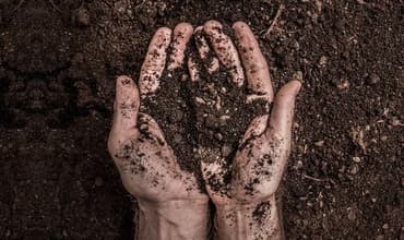 Soil Testing